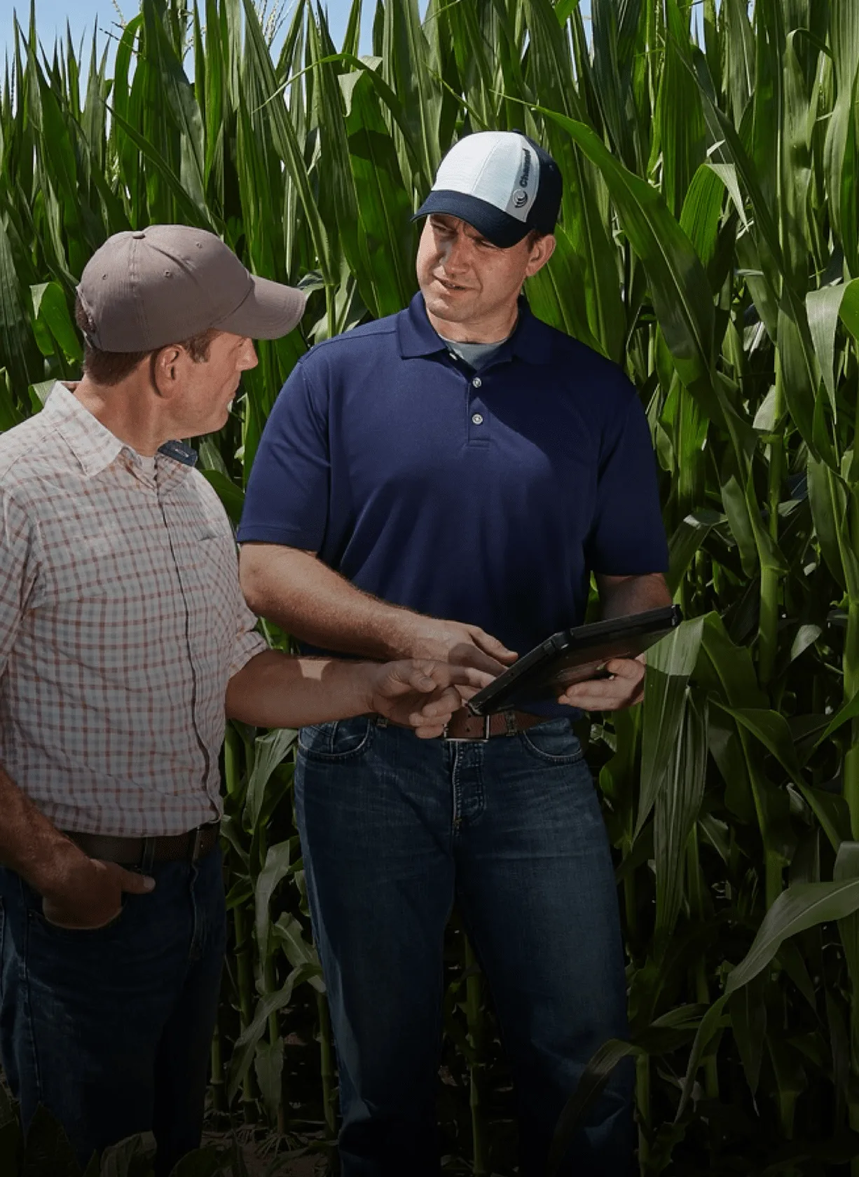 Two men from Channel in a field with large crop reviewing data on a tablet.