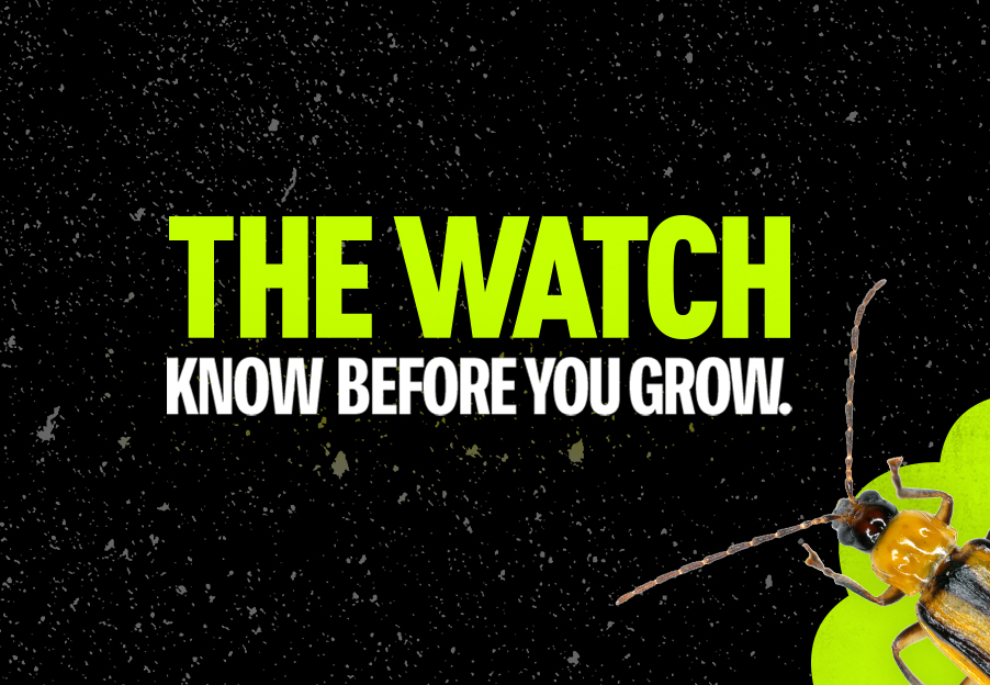 A bold graphic on a black textured background featuring neon green text that reads "THE WATCH" and a white tagline, "KNOW BEFORE YOU GROW," alongside an image of an insect in the bottom right corner.