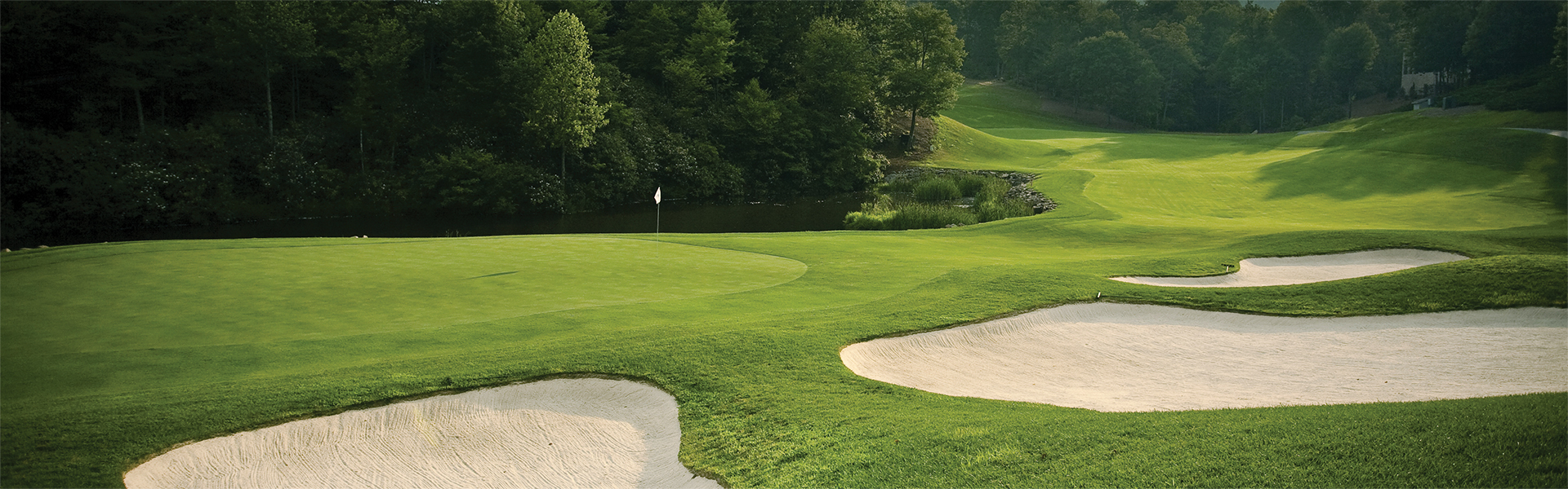 A wide panoramic view of a lush golf course green with surrounding trees.